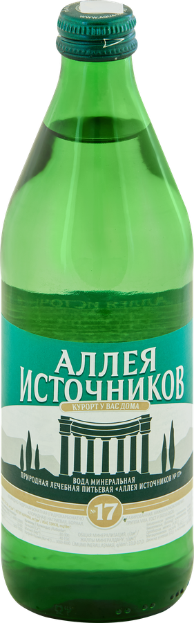Вода Ессентуки №17 0,5л Аллея Источников евровинт газированная
